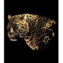 Jaguaras